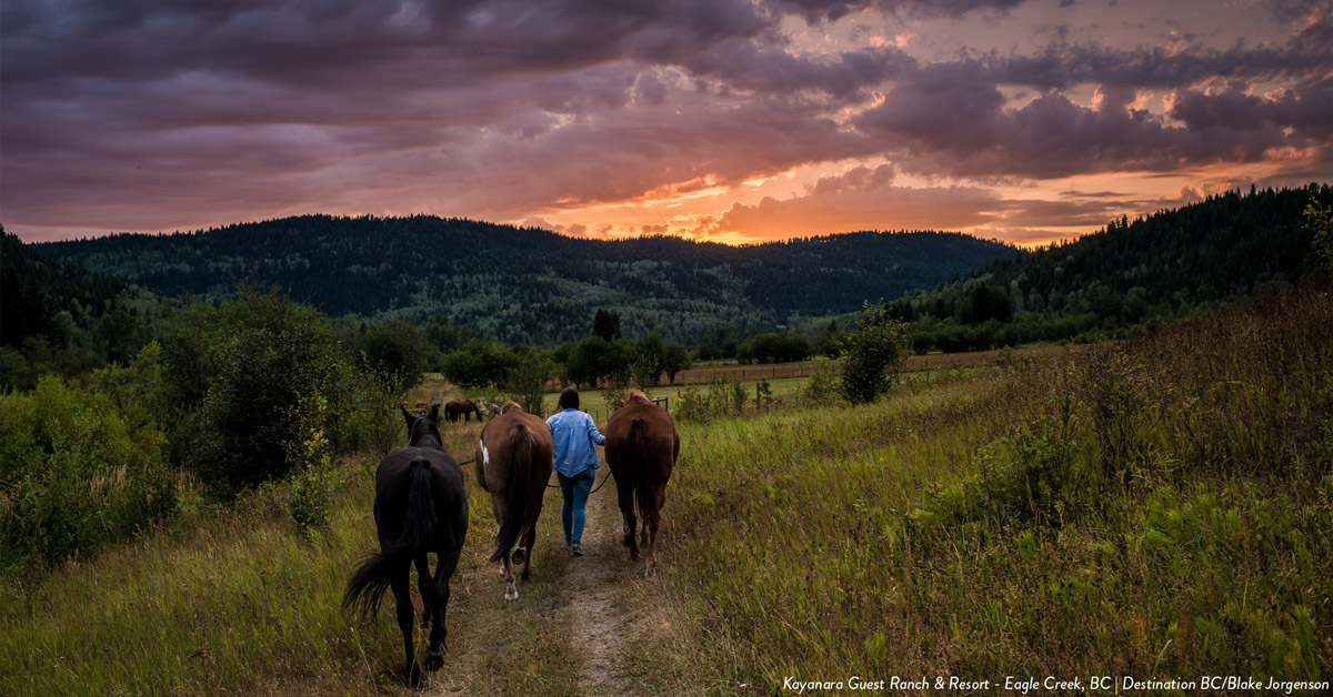 Kayanara Guest Ranch Eagle Creek BC