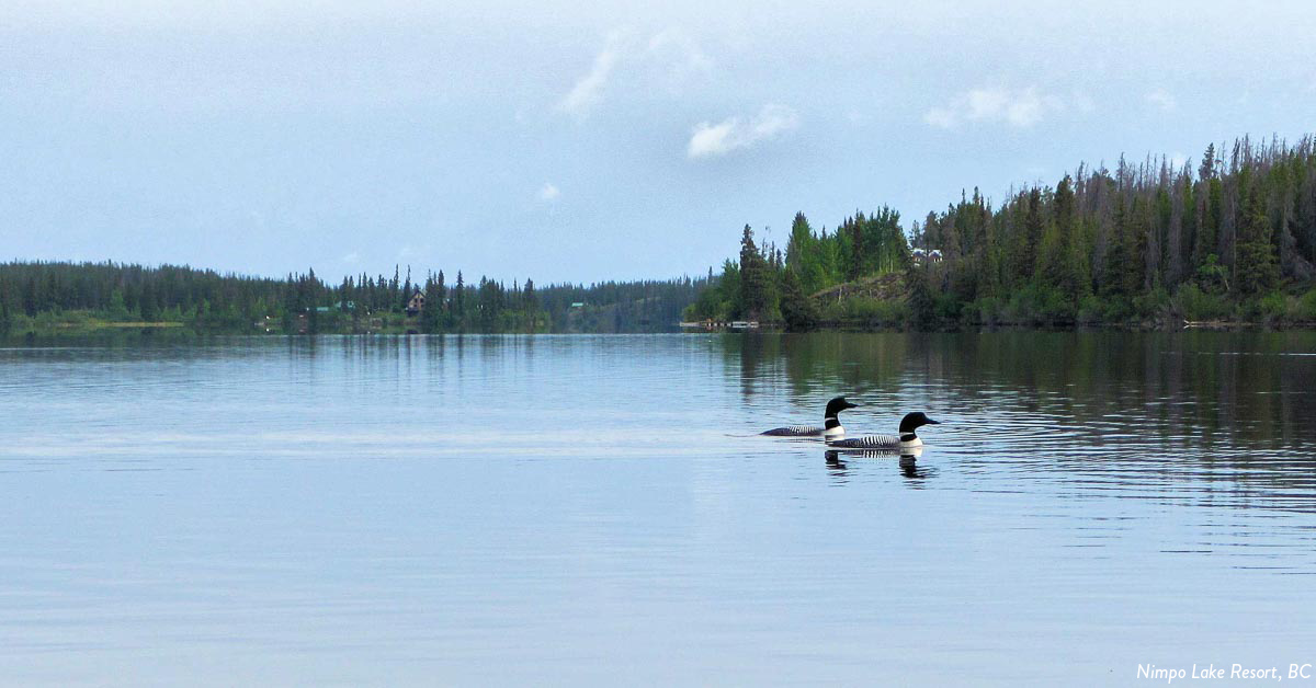 Loon Lake Resort BC