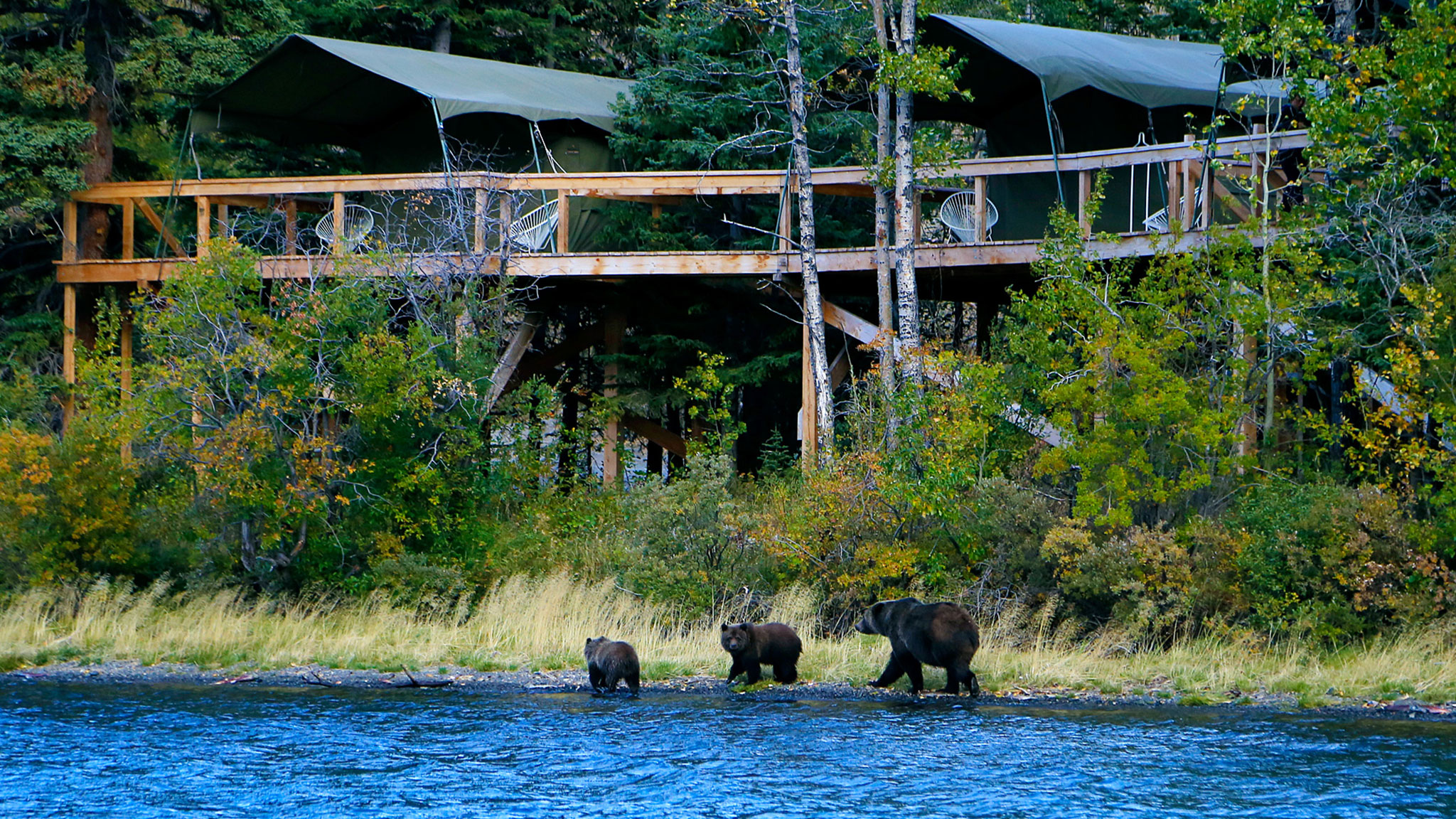 Bear Camp Chilko Lake BC