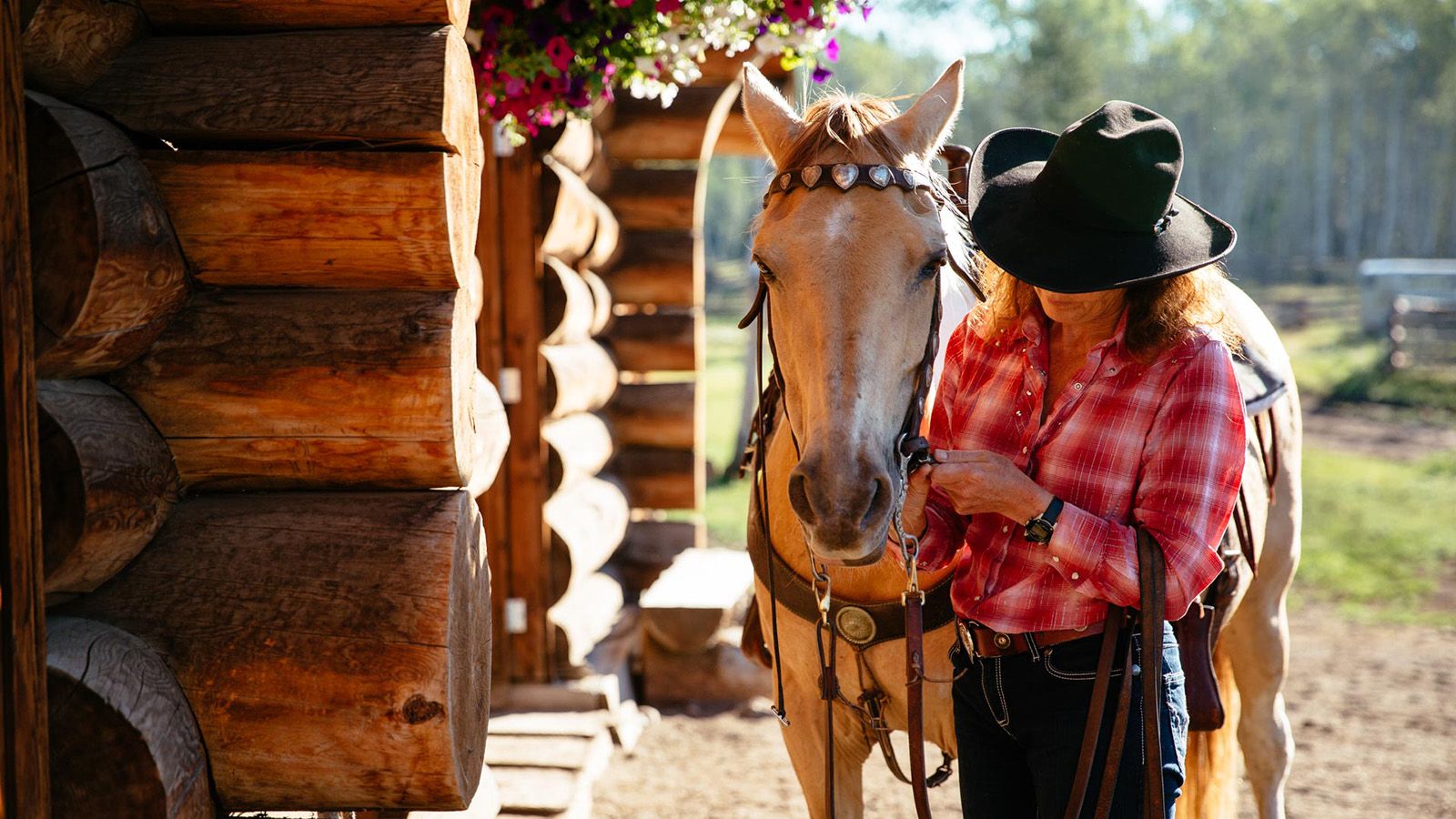 Siwash Lake WIlderness Resort Horseback