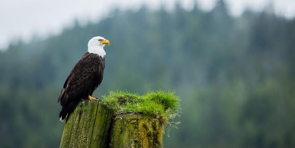 Canadian Signature Experiences: A Curated Guide to the Cariboo Chilcotin Coast