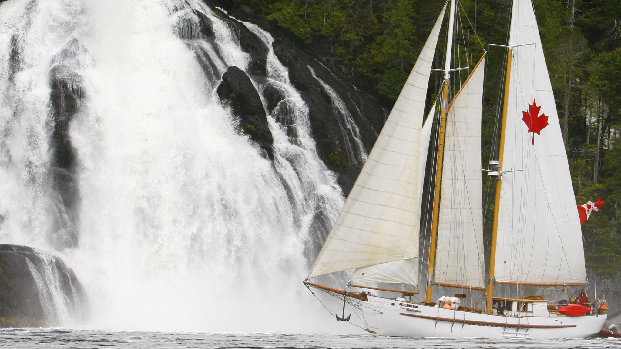 Explore the Great Bear Rainforest - Canadian Signature Experiences