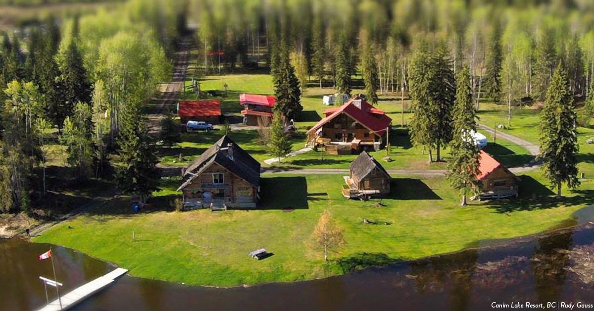 Fall Colours Tour Canim Lake