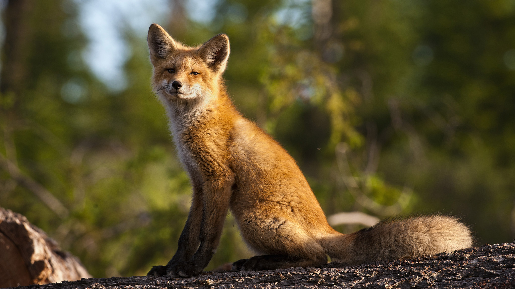 Explore Alexis Creek BC | Visit British Columbia