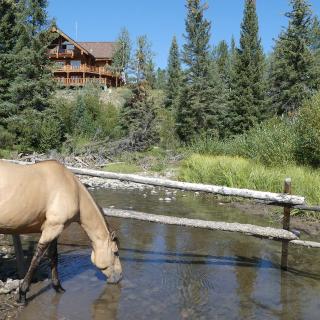 creek big lodge