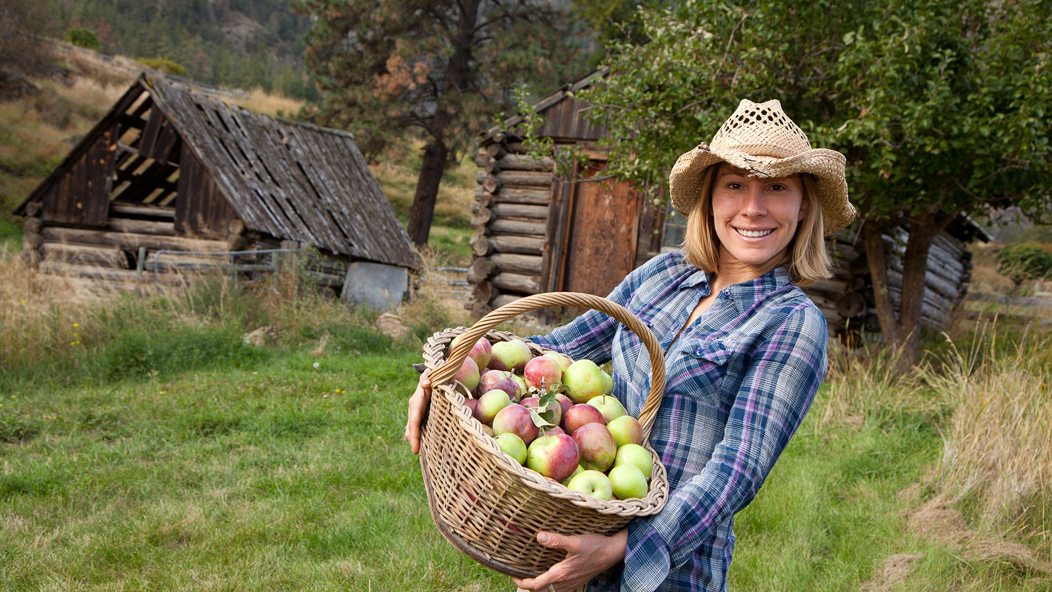 agri tourism farm