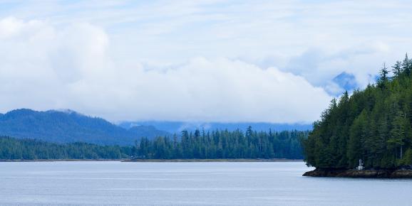 6 Things to Do While Exploring Bella Bella