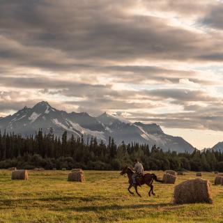 Bracewell's Alpine Wilderness Adventures