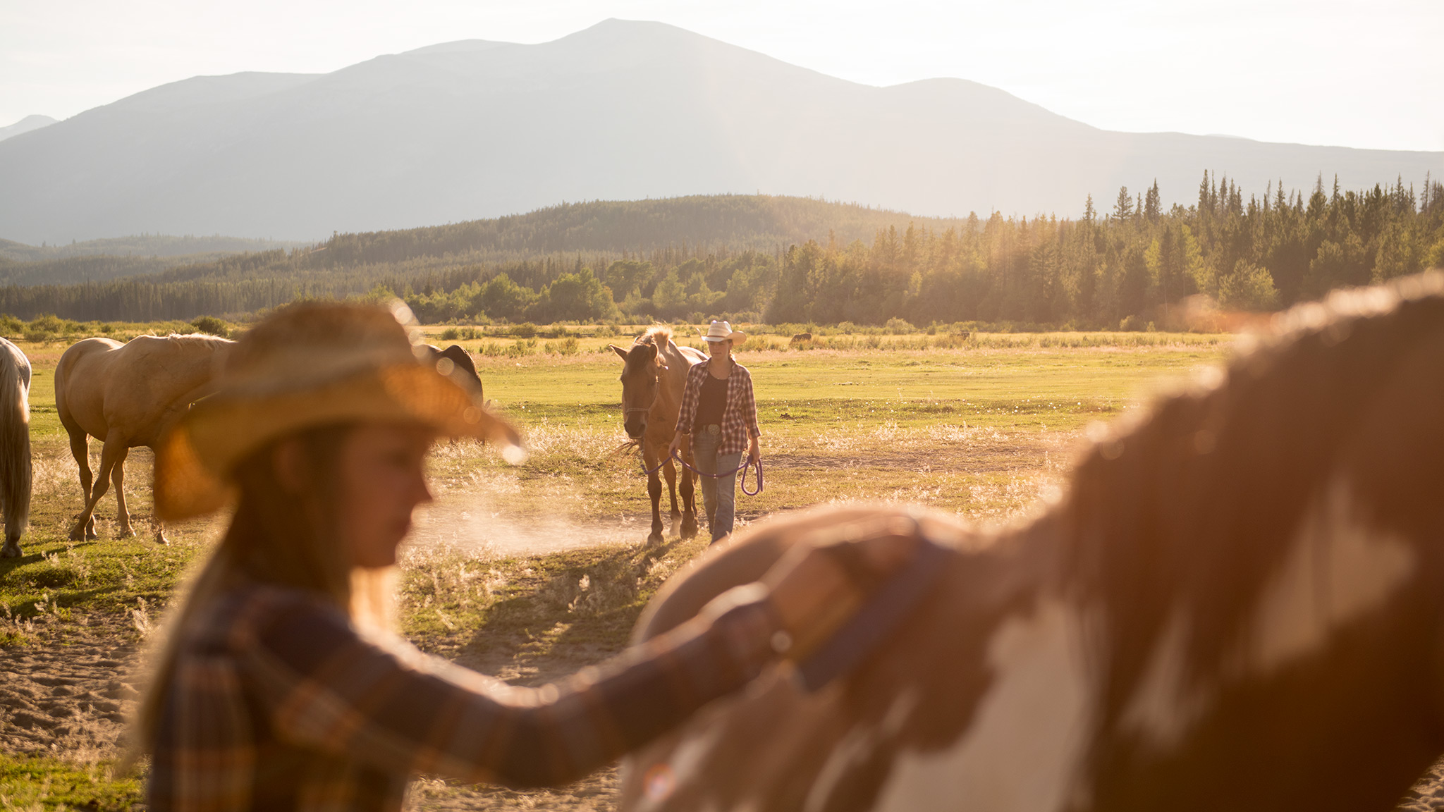 Terra Nostra Guest Ranch Chilcotin BC