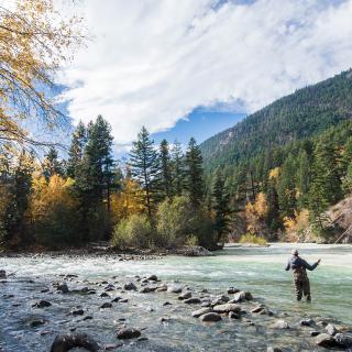 Fortress Books and Web