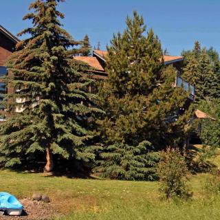 Eagle's Nest Resort