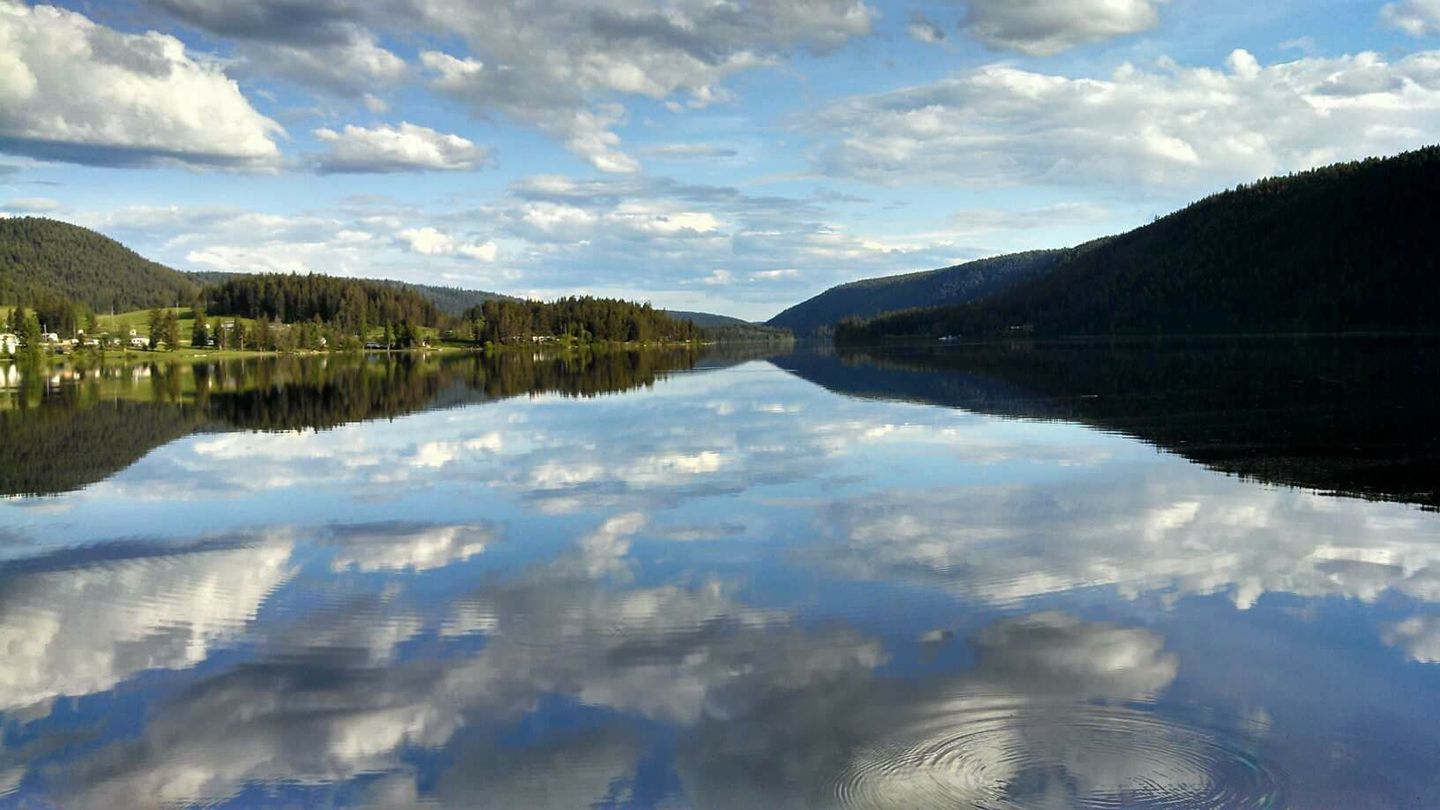 McLeese Lake BC Fishing Trips in BC