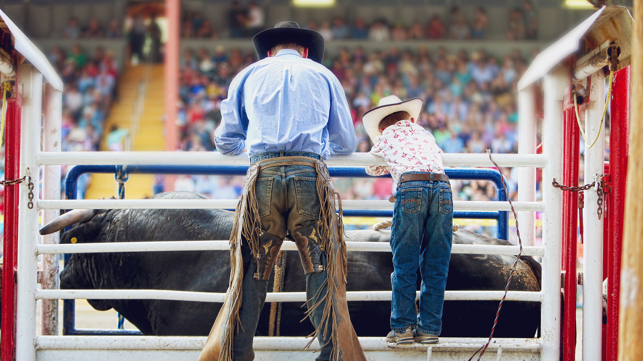 Williams Lake Stampede - BC Rodeos Canada