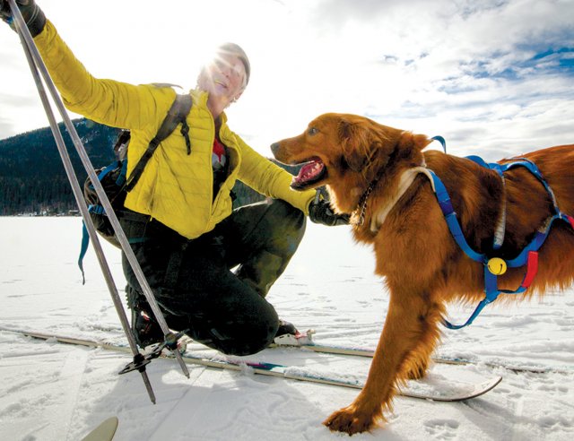 Winter Activities