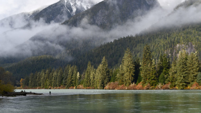 Oweekeno BC | Explore BC's Great Bear Rainforest