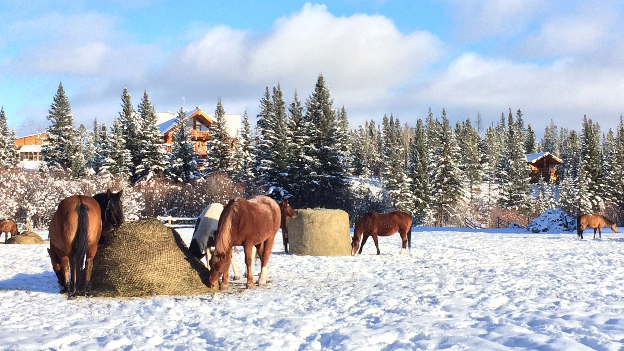 winter cabin getaways