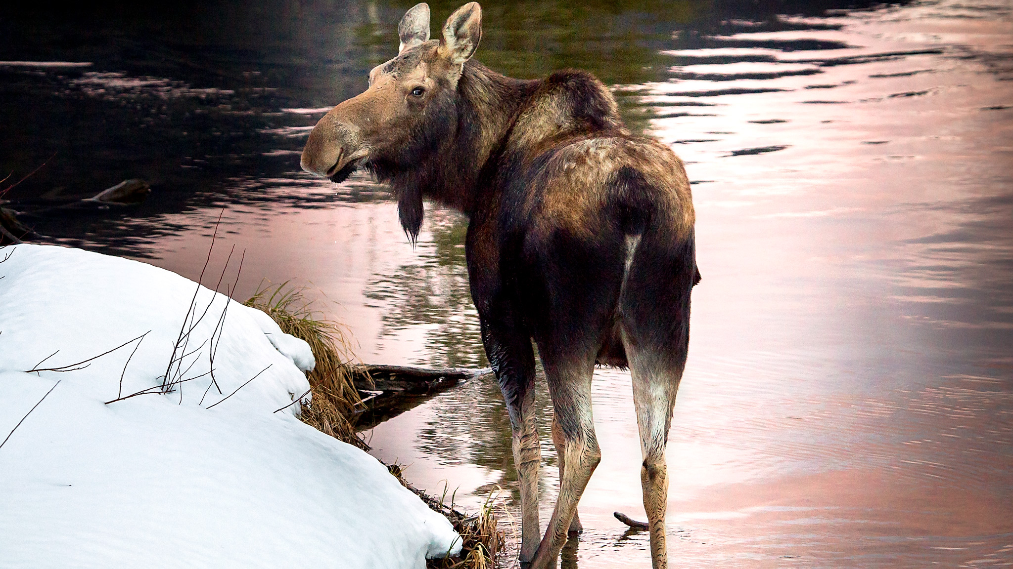 Explore winter trails in BC's Cariboo Chilcotin