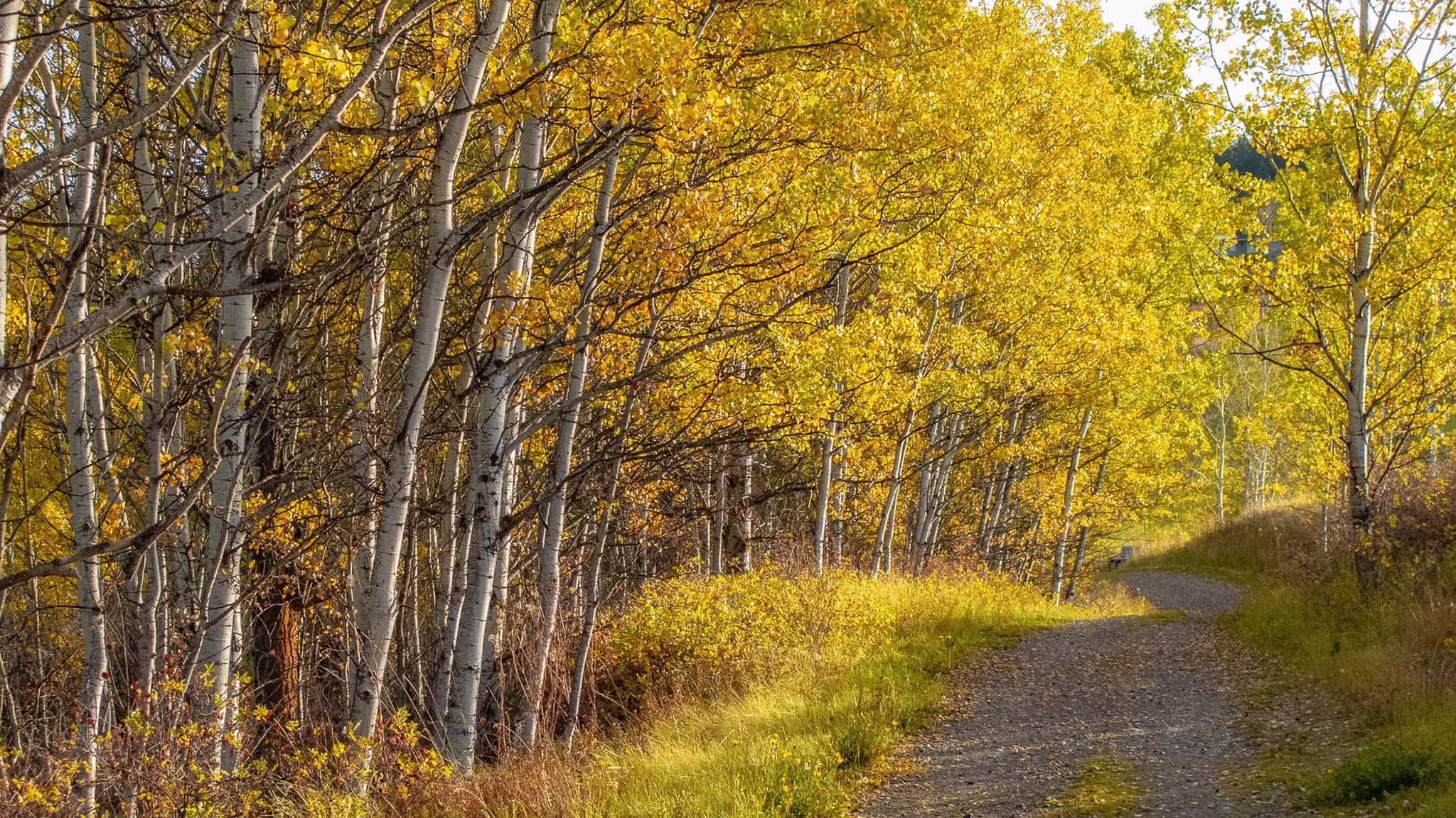 fall photography road trip