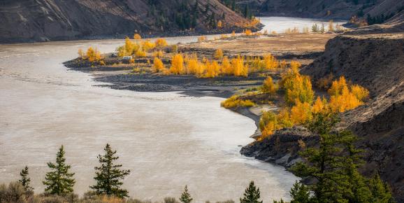 Capturing Fall Photography in the Cariboo