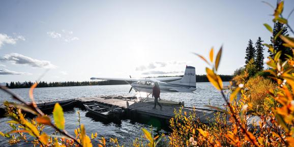 The 6 best ways to see nature in British Columbia