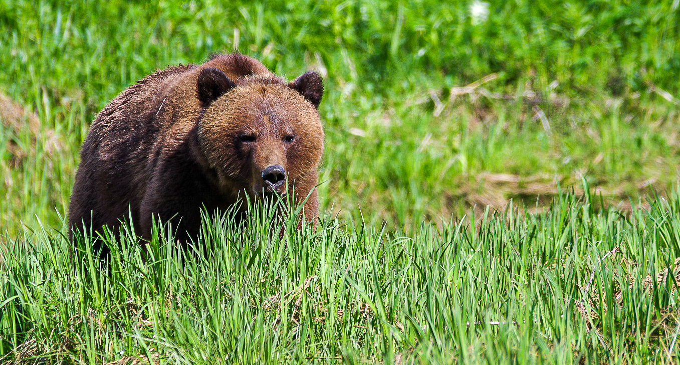 A Checklist to Having Fun & Staying Safe in the Wilderness