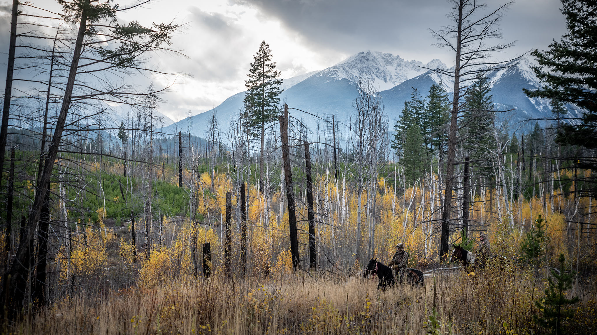 en pige træ Visit British Columbia's Land Without Limits | Cariboo Chilcotin Coast