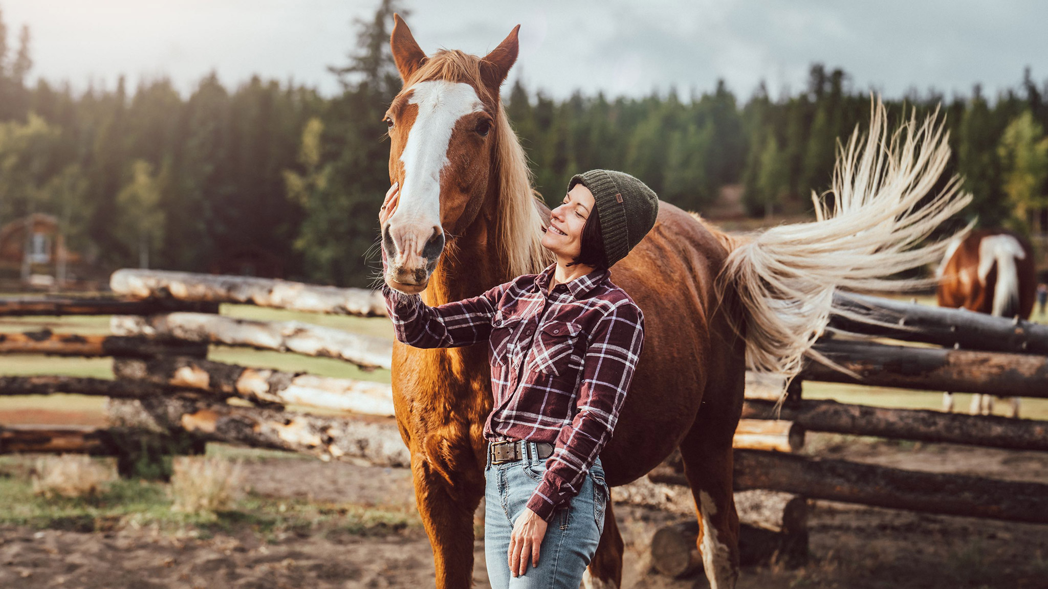 Explore BC with a Cozy Cabin Ranch Holiday