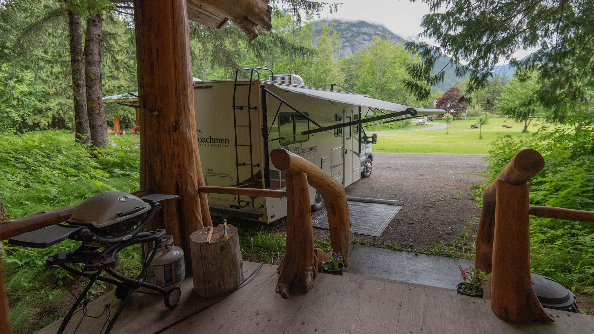 Bella Coola grizzly tours