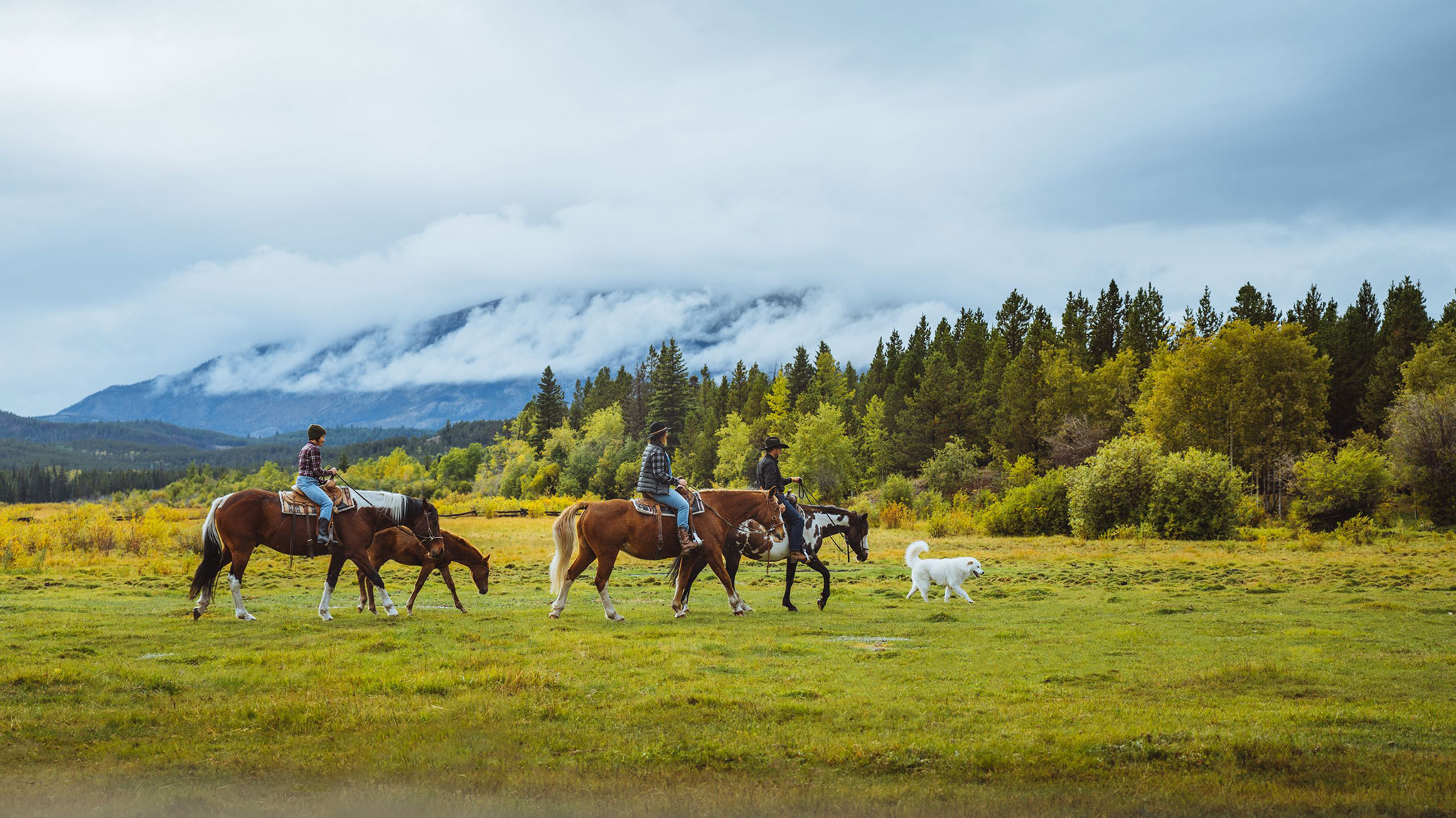 Chilcotin guest ranch