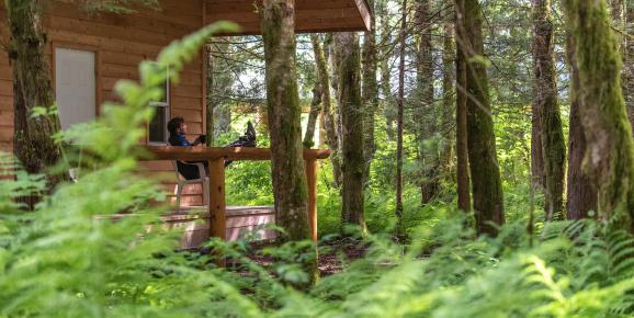 Wake up in Nature in a Cozy Cabin or Lodge in the Cariboo Chilcotin Coast!