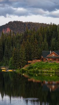 Newsletter Subscription