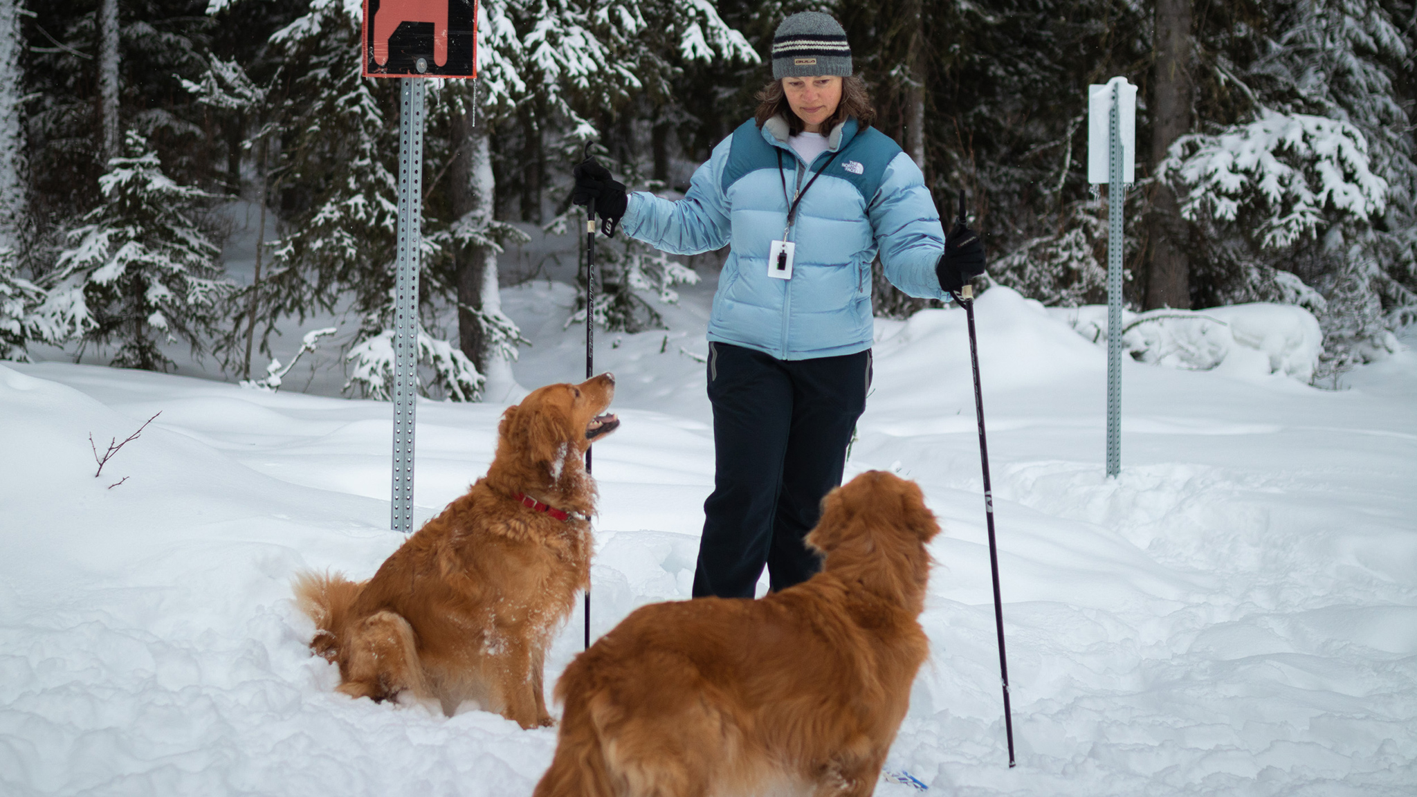 cross country gold rush trail