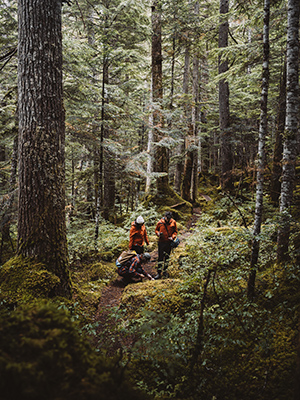 hiking Great Bear Rainforest