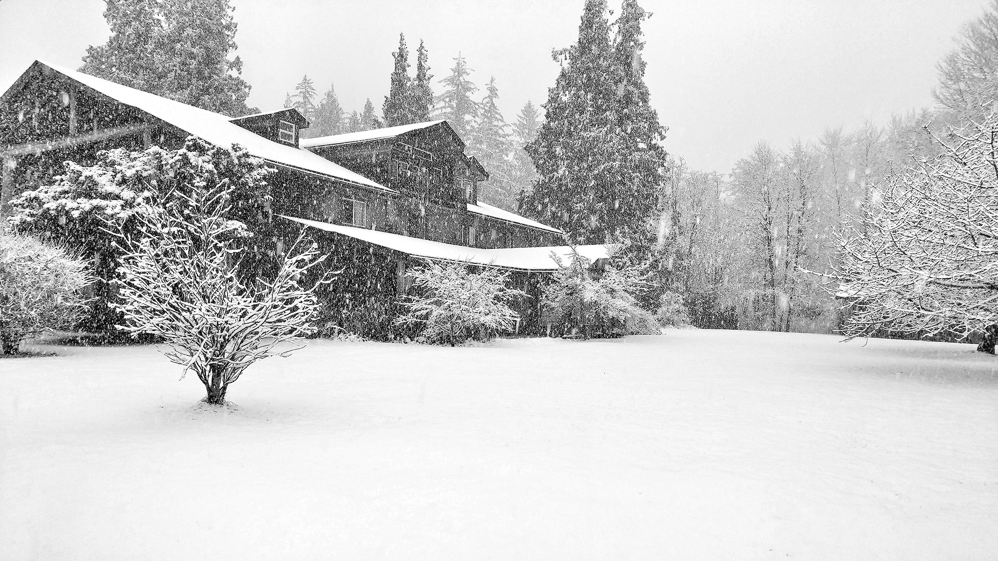 72 Hours Of Winter Holidays In The Great Bear Rainforest 72-hours-of-winter-holidays-in-the-great-bear-rainforest