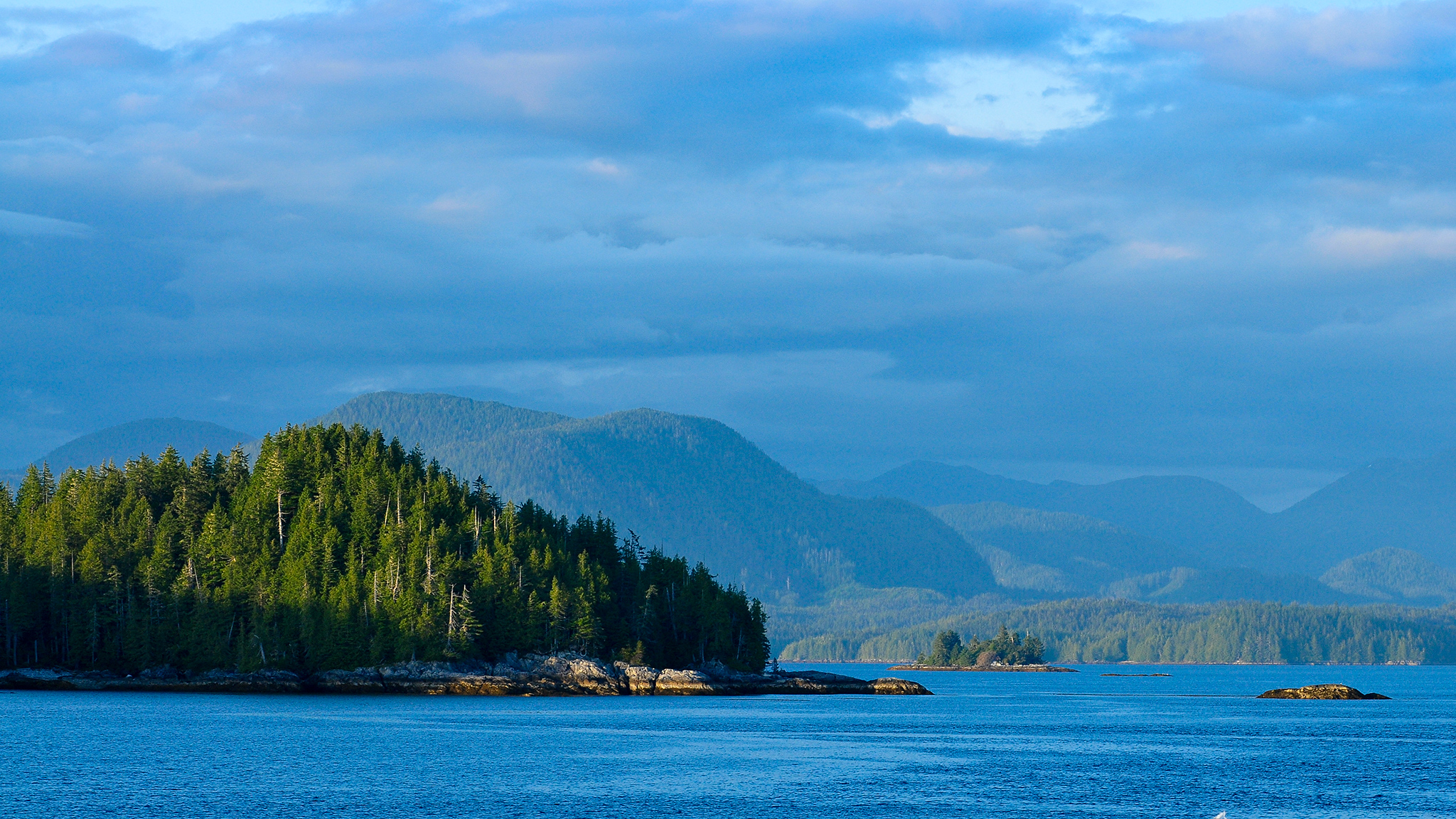 3-Day Trip to the Great Bear Rainforest - Land Without Limits