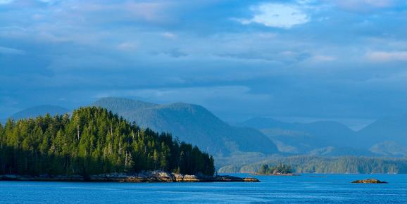 3-Day Trip to the Great Bear Rainforest