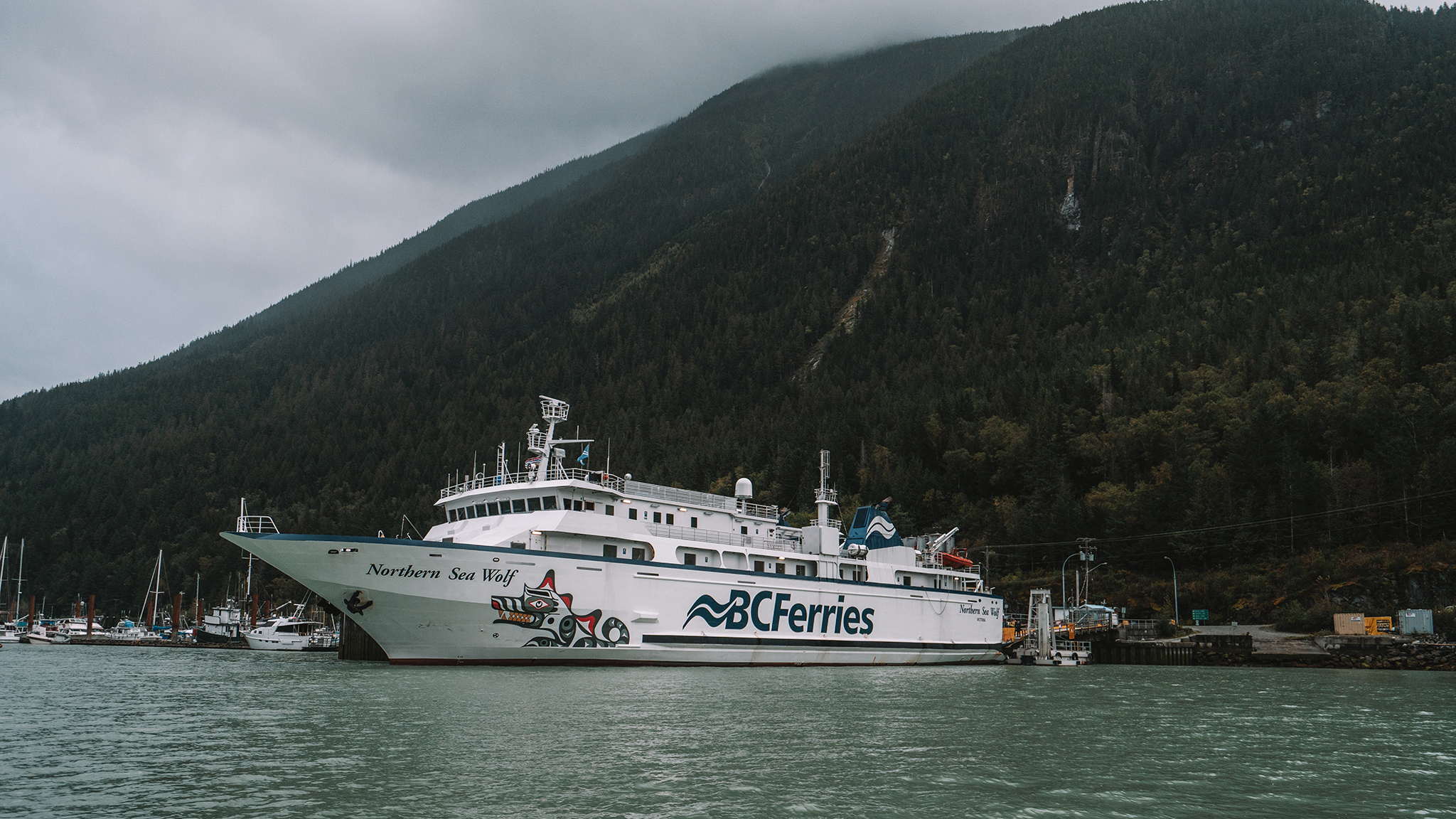 ferry to great bear rainforest