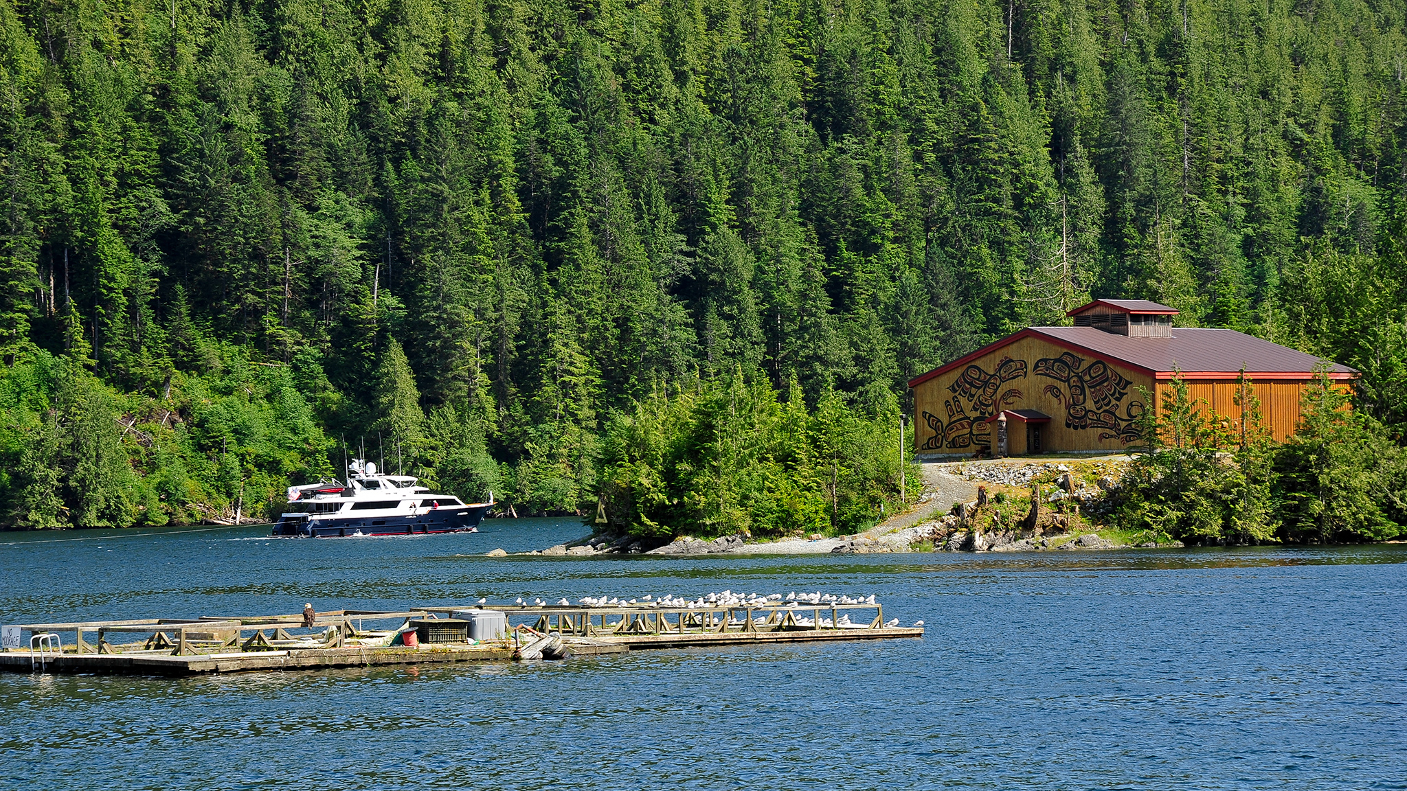 Road trip Great Bear Rainforest