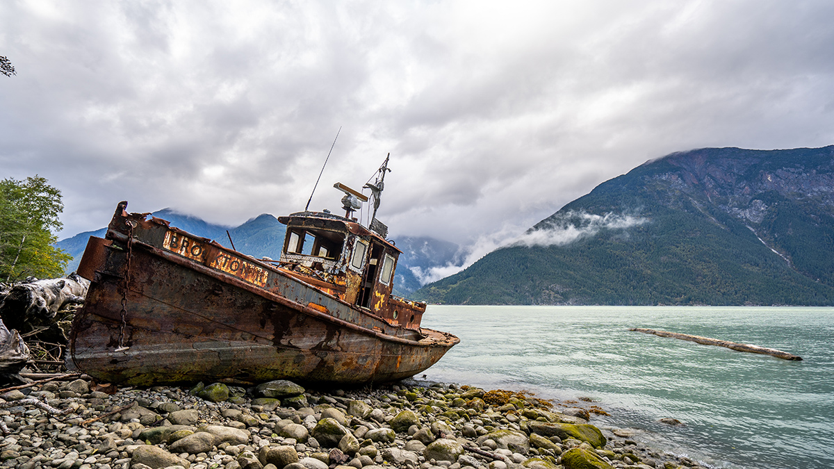 Great Bear Rainforest