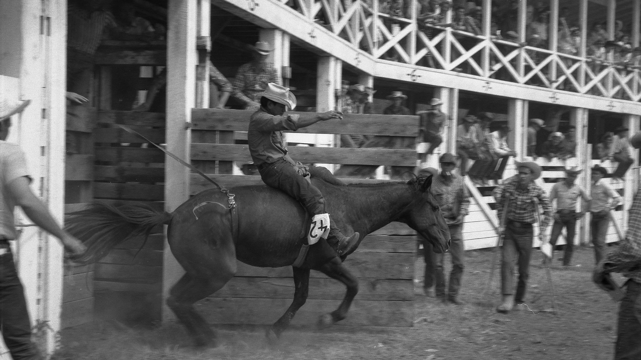 BC Rodeo history