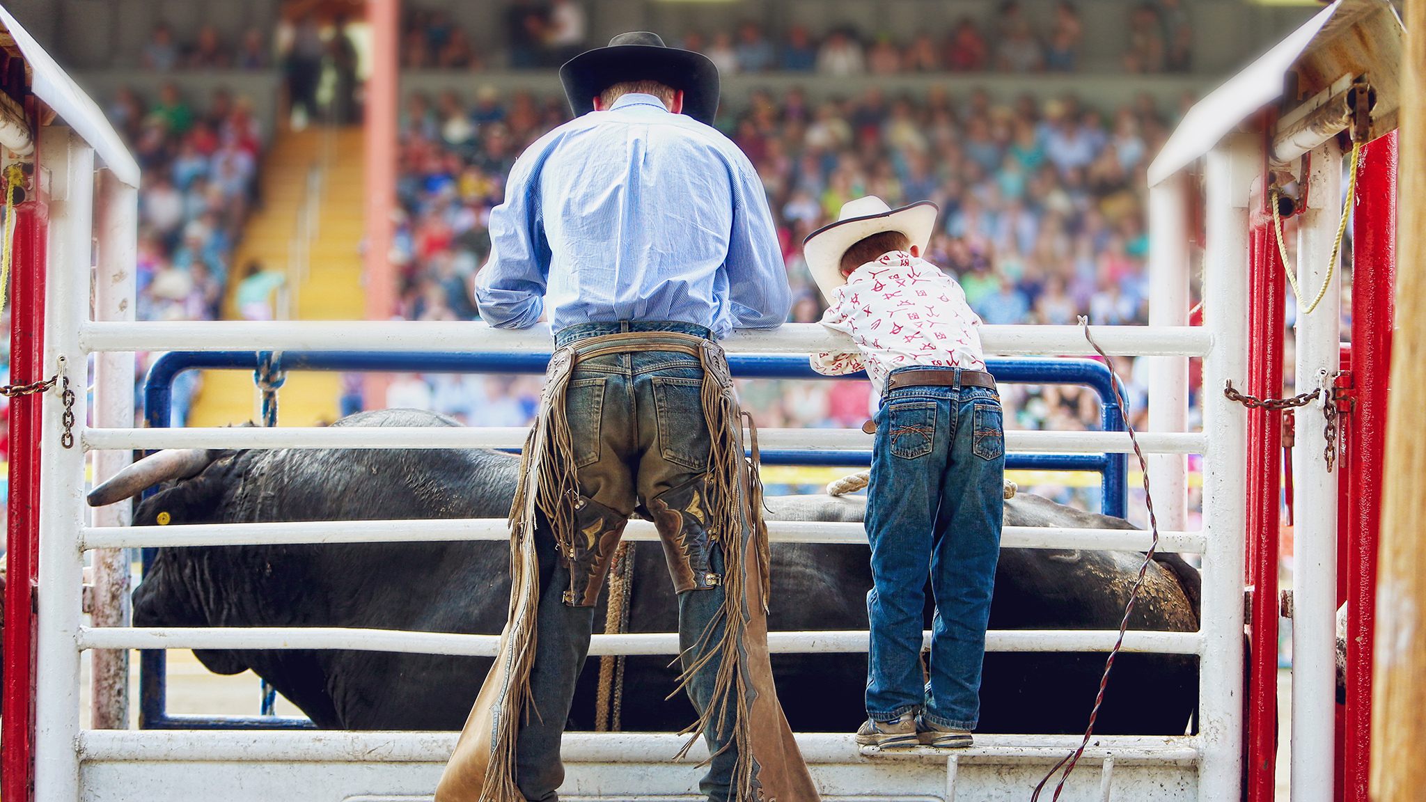 Williams Lake Rodeo