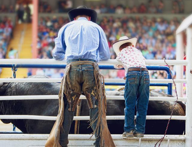 Rodeos