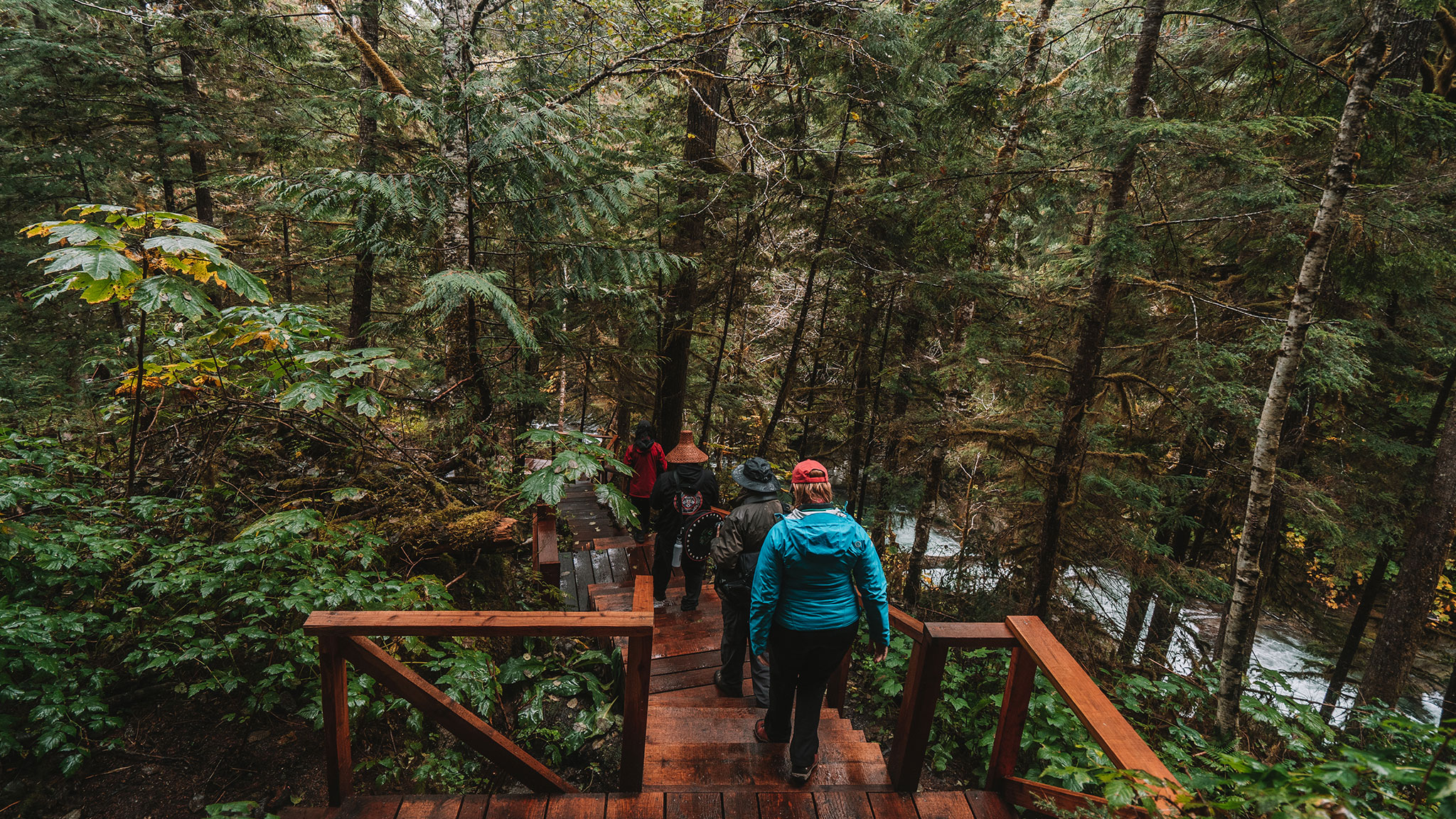 Indigenous tours