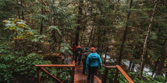 Relaxing Trips in the Great Bear Rainforest