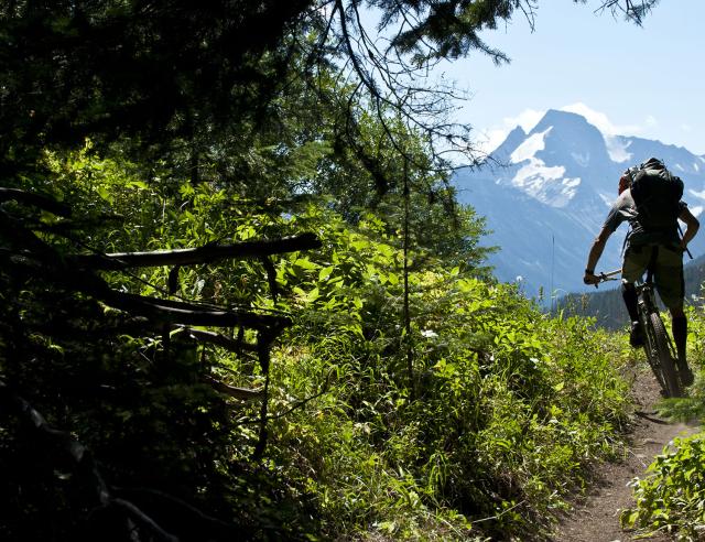 Mountain Biking
