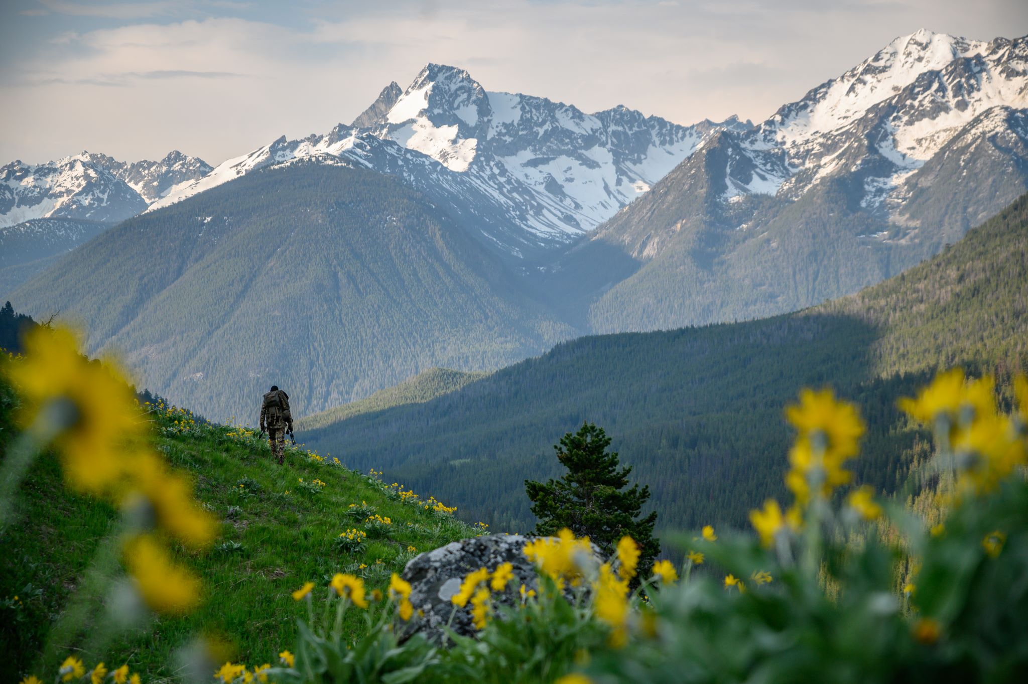 Hiking in Spring Bear