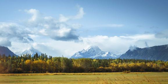 Chilcotin Ark: Protecting BC's Natural Heritage