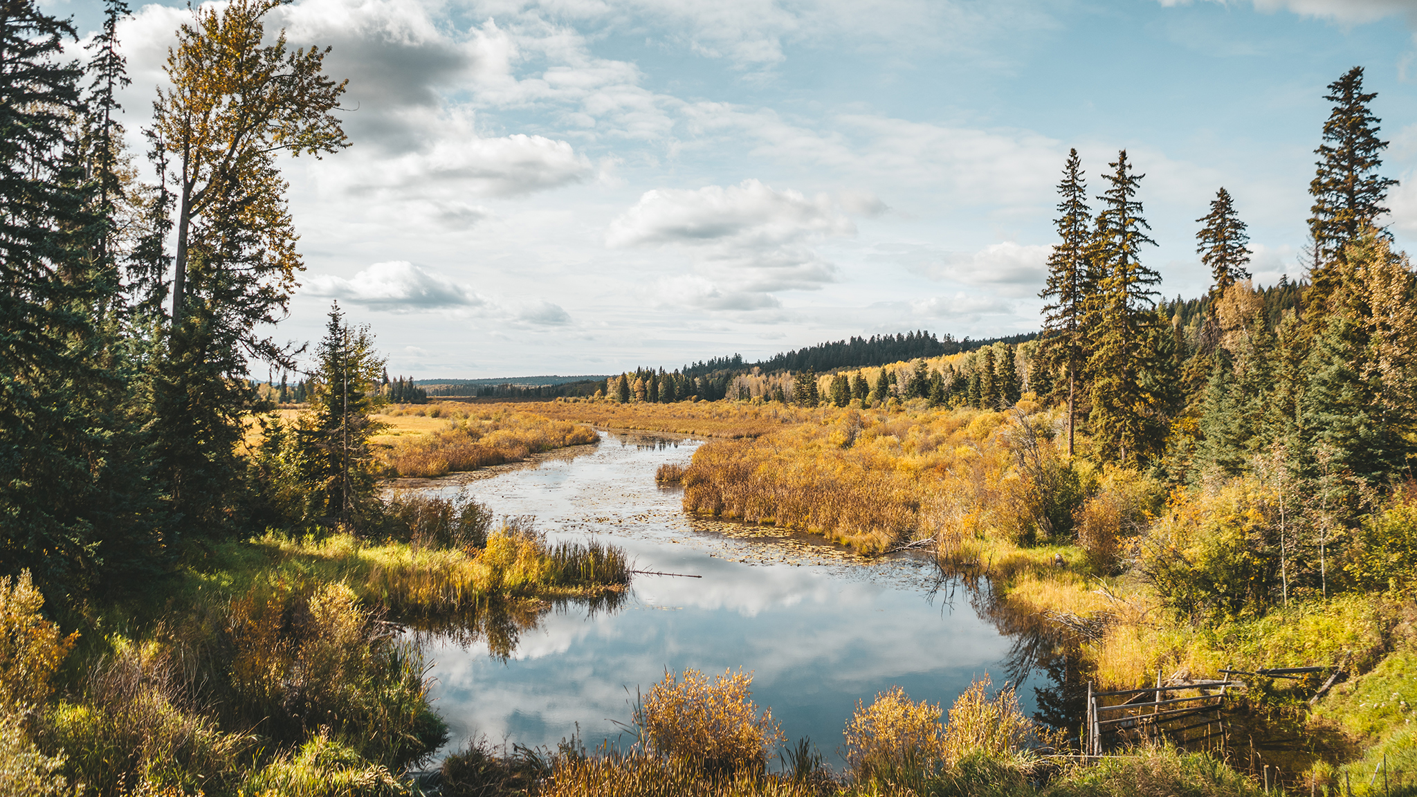 gold rush trail