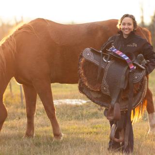 MeadowView Reins