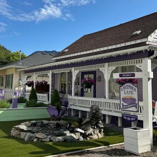Lavender Lane Bed and Breakfast